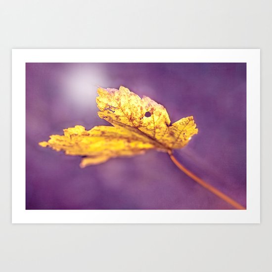 MAPLE Art Print