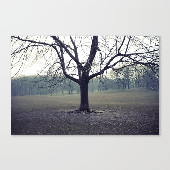 parktree Canvas Print