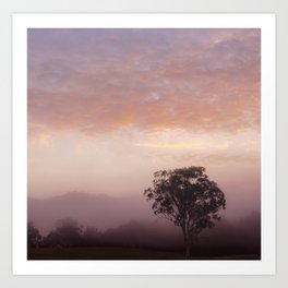 /// Bubble gum mornings /// Landscape photography of early morning tree in the fog at sunrise, NSW Australia Art Print