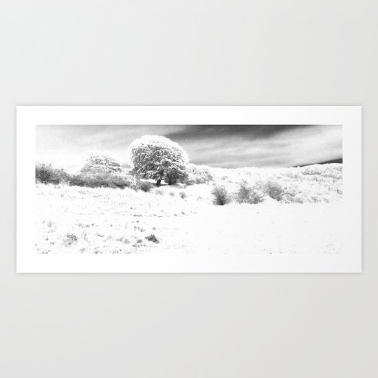 Haresfield In The Snow Art Print