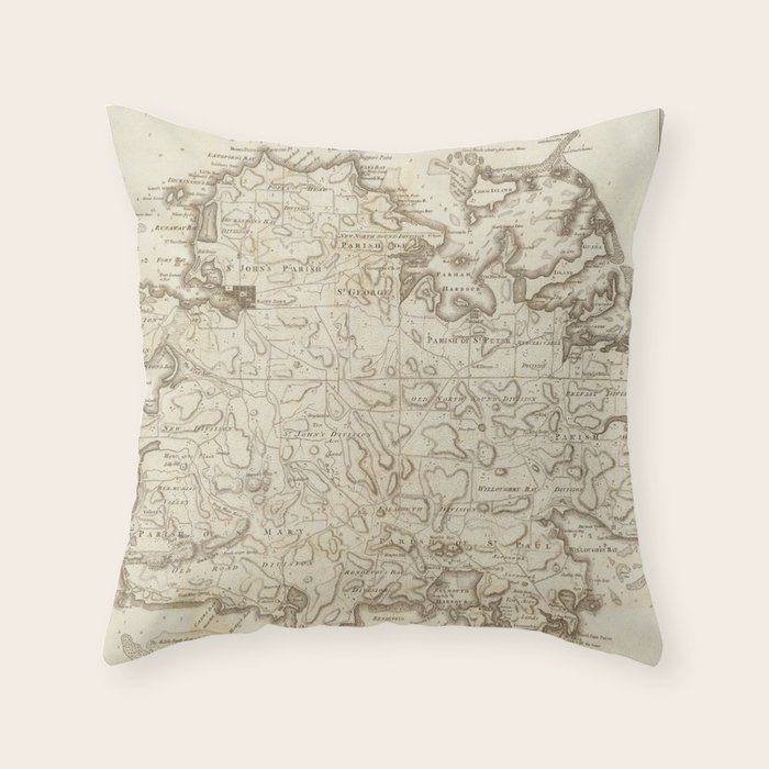 Throw Pillow