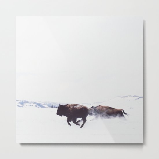 Wild Bison Running in Winter Metal Print