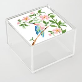 Hummingbird Acrylic Box