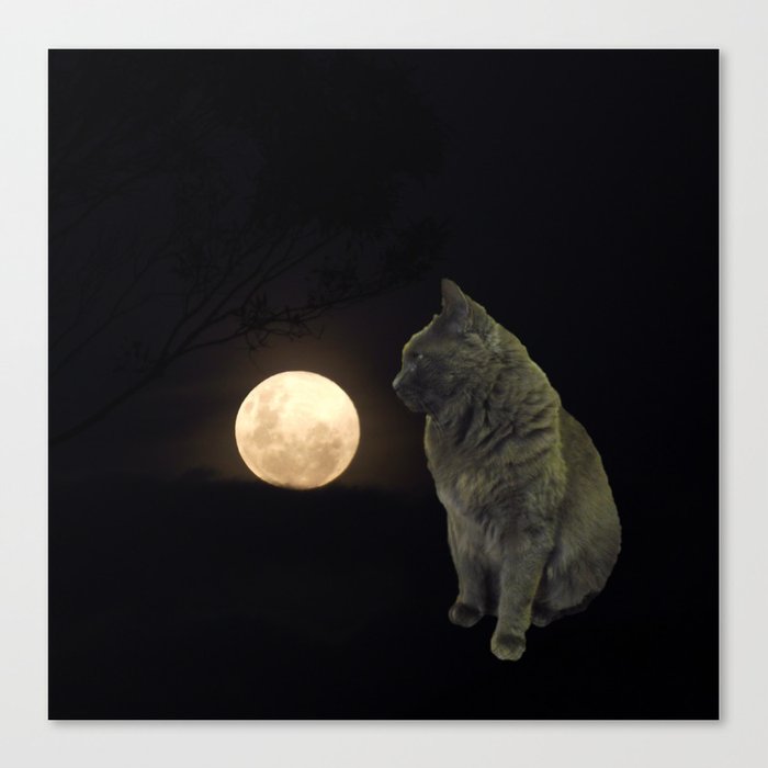 Moon cat Canvas Print