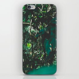 Brazil Photography - Rain Forest With Wet Green Leaves iPhone Skin