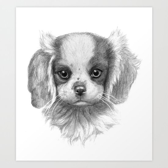 KING CHARLES SK096 Art Print