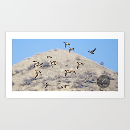 In flight Art Print