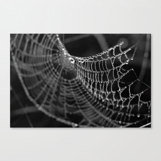 Fragile Beauty Canvas Print