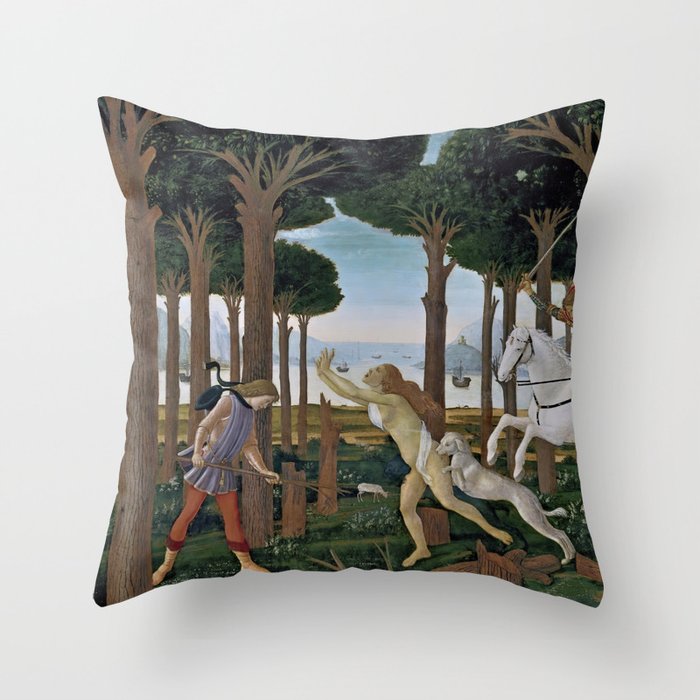Throw Pillow
