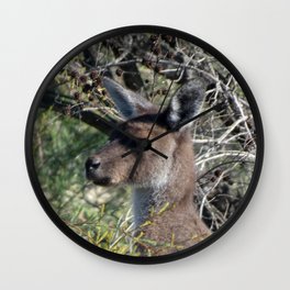 Kangaroo 3 Wall Clock