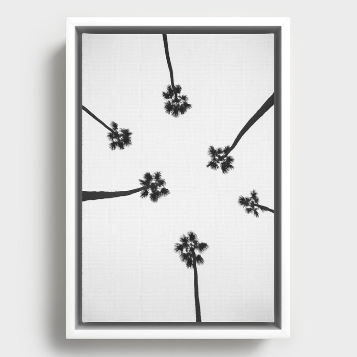 Black and white palms photo Framed Canvas