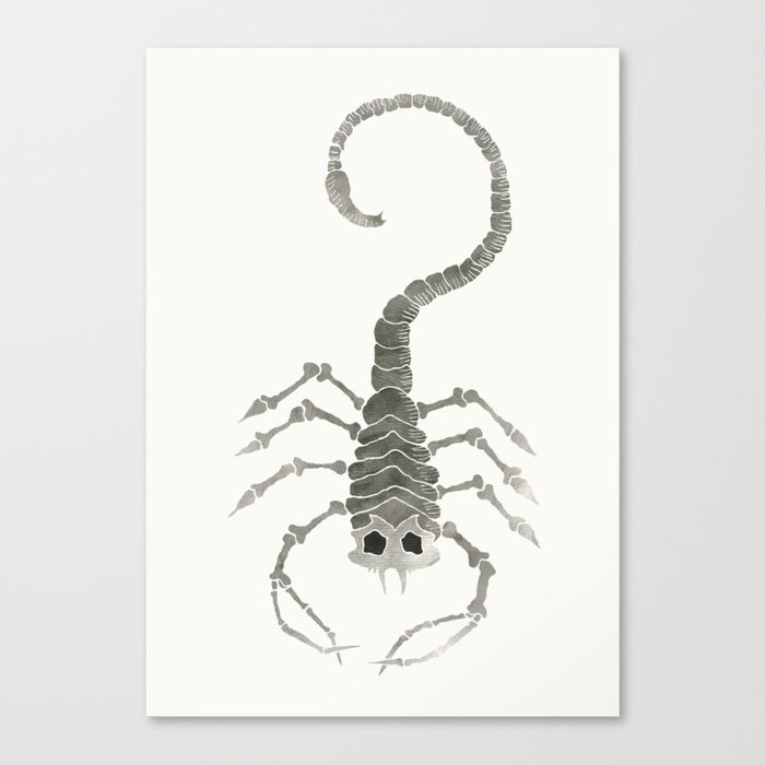 Scorpio Canvas Print