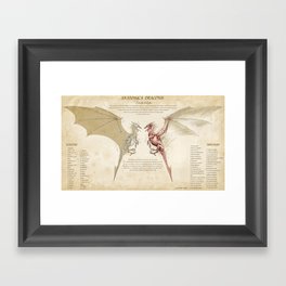 Dragon Anatomy Framed Art Print