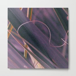 Palmetto Abstract Curl Metal Print