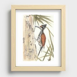 Palm Woodpecker Recessed Framed Print