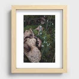 mushrooms and snowdrops on mossy forest floor Recessed Framed Print