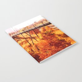 Philly Foliage Notebook
