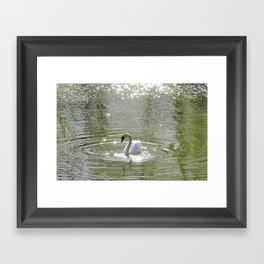Sparkly Swan Lake Framed Art Print
