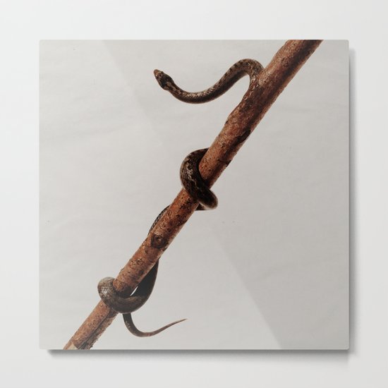 snake Metal Print