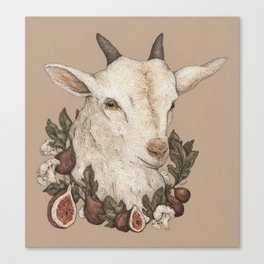 Goat and Figs Canvas Print