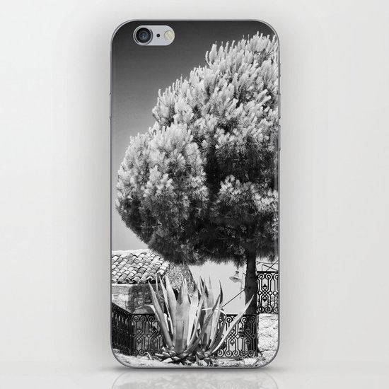 Tree iPhone & iPod Skin