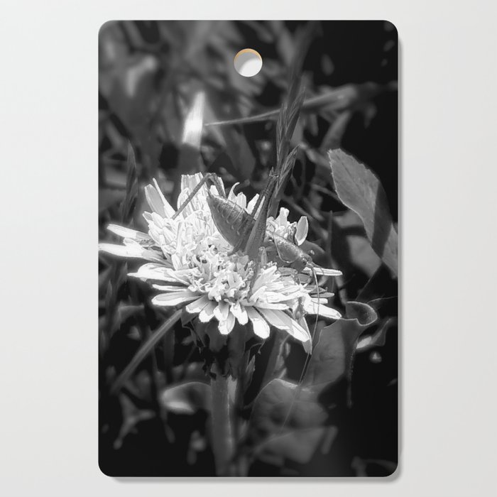 Monochrome grasshopper on dandelion summer field photography Cutting Board