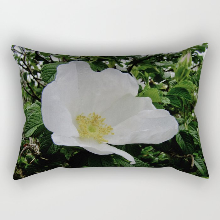 Wild White Rose in Full Bloom Rectangular Pillow