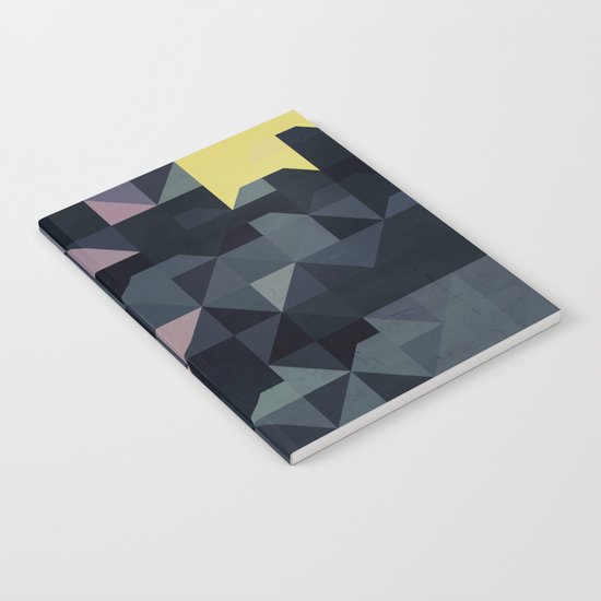 stygnyyt Notebook