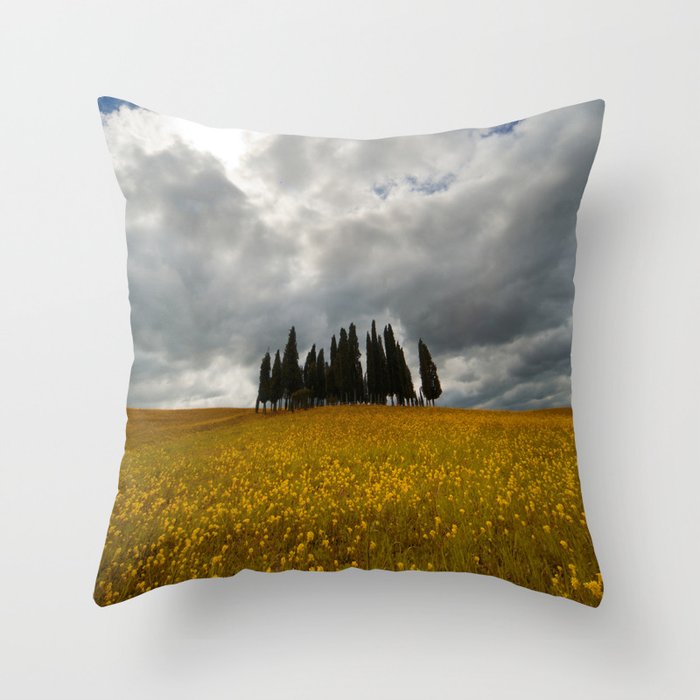 Golden fields of Tuscany Throw Pillow
