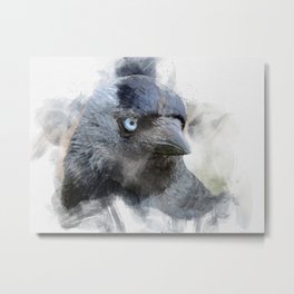 jackdaw - blue eyes Metal Print | Eurasian, Bird, Crow, Head, Black, Corvidae, Painting, Wildlife, Fauna, Blue 