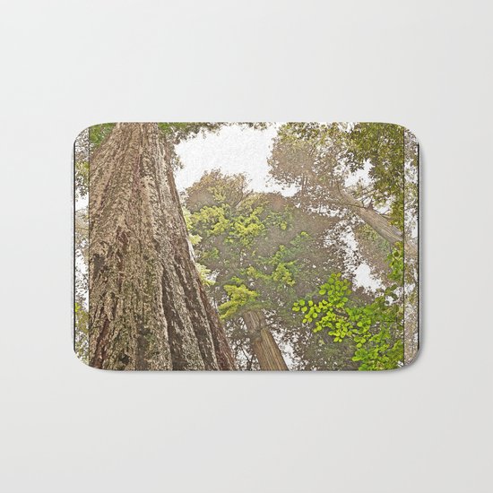 STOUT GROVE REDWOODS 3 LOOKING UP INTO THE TREES Bath Mat