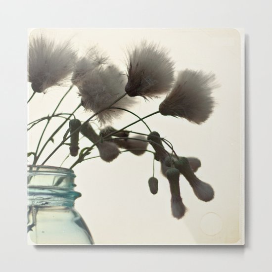 Sunlit Thistle Metal Print