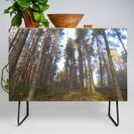 Inclined Scottish Pine Forest in Afterglow Credenza
