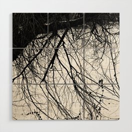 Witch forest  Wood Wall Art