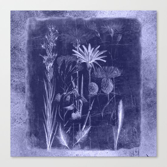 floral cyanotype Canvas Print