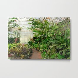 Greenhouse Gardening Metal Print