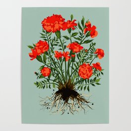 Mexican Marigold Plant Painting in Sage Green Poster