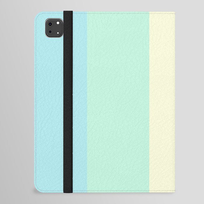 Pastel Elegant Natural Color Palette iPad Folio Case