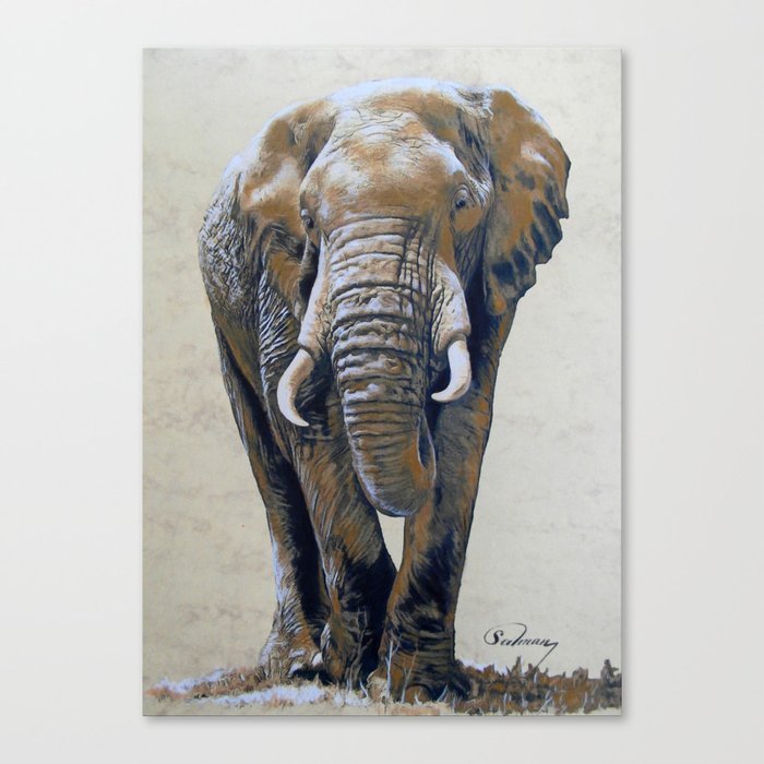 African Elephant Canvas Print