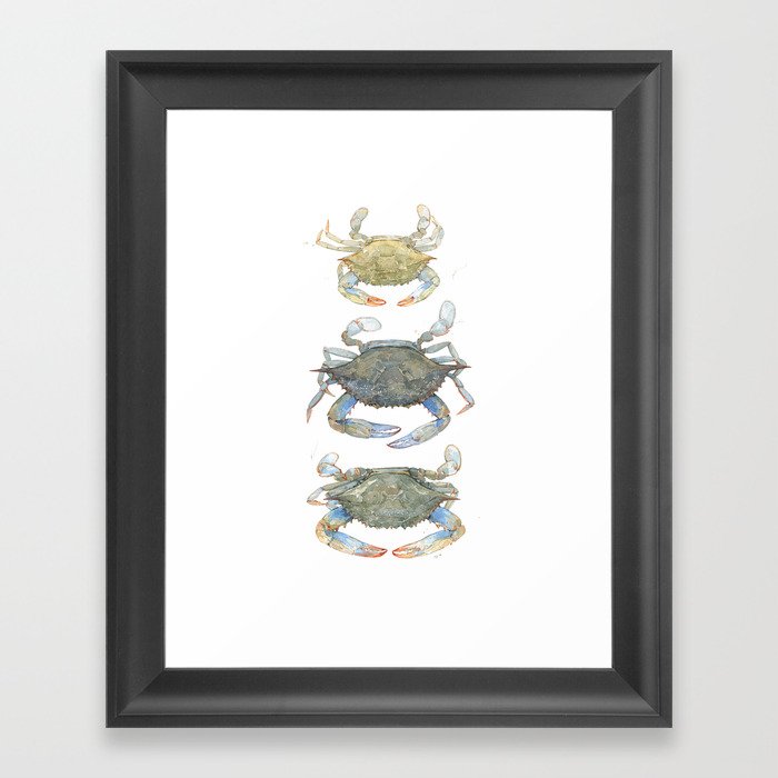 Blue Crabs Framed Art Print