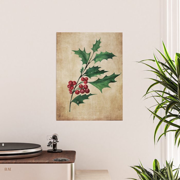 Vintage Christmas Holly Branch - Holly - Posters and Art Prints