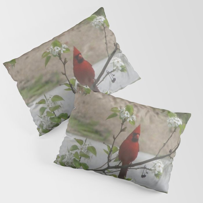 Cardinal pillow shams sales