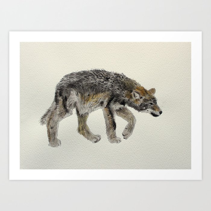 Wolf Cub Louveteau Lobezno Lobacho Art Print By Luisjhon Society6