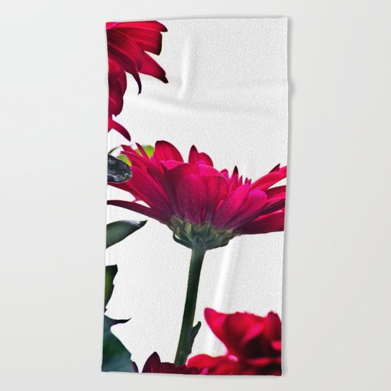 Red Chrysanthemum Flowers Beach Towel