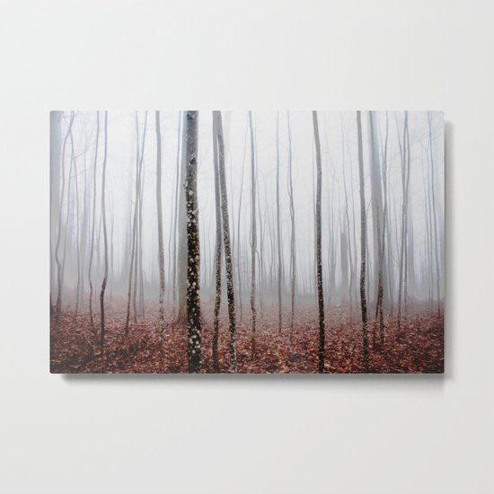 Enchanted forest Metal Print