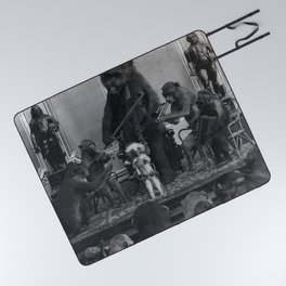The good-time jamborine Eclectic animal monkey and bear dixieland band funny macabre creepy black and white photograph - photography - photographs Picnic Blanket
