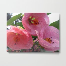 Flowering Maple Metal Print | Flowerart, Color, Digital, Pinkflower, Largeflowerphotography, Photo, Floweringmaple, Abutilon 