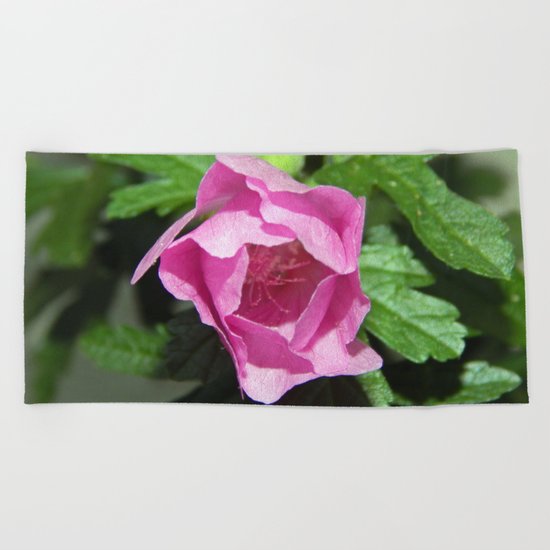 Musk Mallow - Pretty Pink Flower Beach Towel