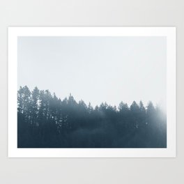 Magical Woodland: A Minimalist Photograph of Forest Trees Art Print