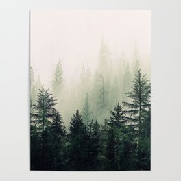 Foggy Pine Trees Poster